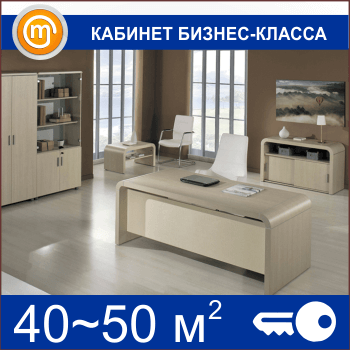 Кабинет бизнес-класса (40-50 кв.м)